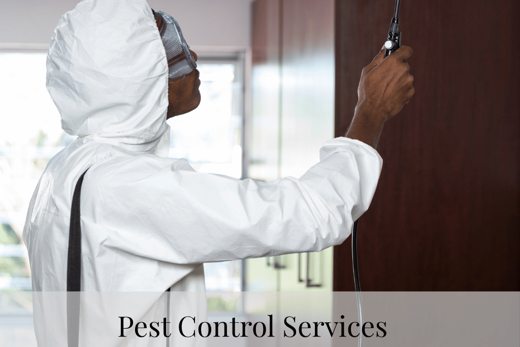 Pest Control Services